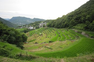 中山千枚田