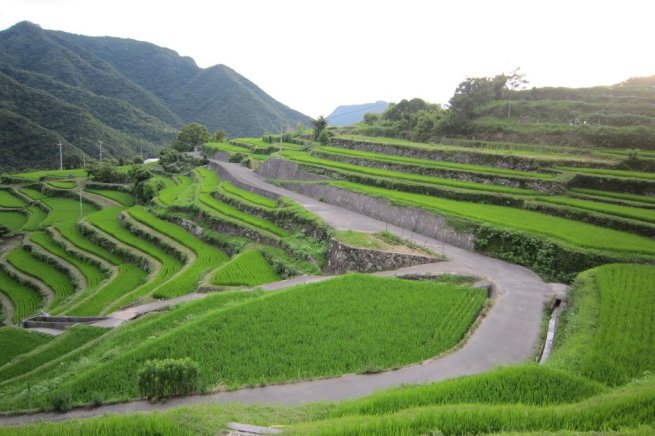 中山千枚田 ロケ地検索 ロケ 撮影 香川フィルムコミッション