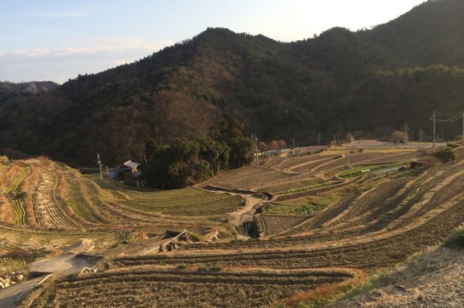 中山千枚田 ロケ地検索 ロケ 撮影 香川フィルムコミッション