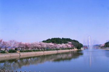 亀鶴公園