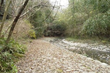 鮎返りの滝