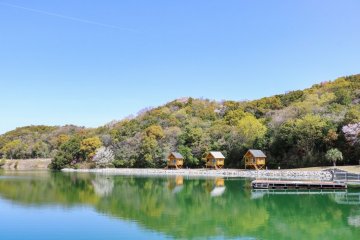 大池オートキャンプ場