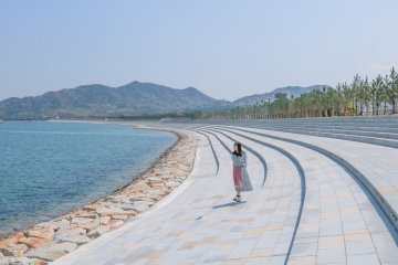 ふるさと海岸