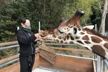 しろとり動物園